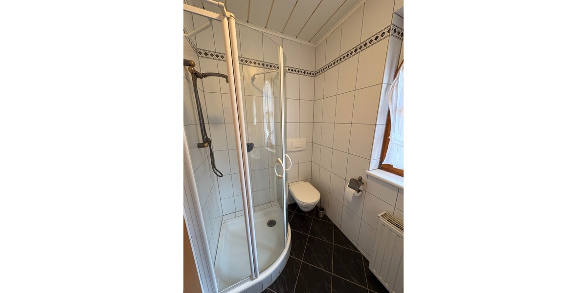 Gäste WC mit Dusche EG
