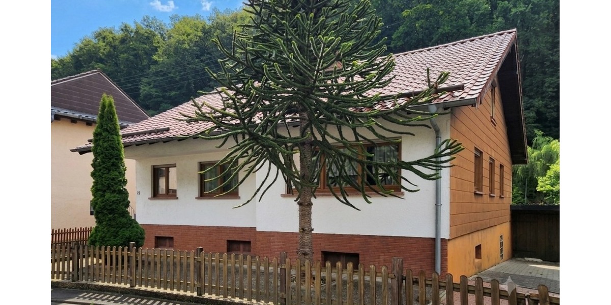 Vorderansicht mit Holzgarage