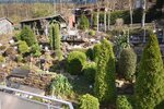 RESERVIERT -Preis für Traumhaftes Haus in Lambrecht - Mehrfamilienhaus, Wohnhaus Lambrecht (Pfalz) | Angebot:26058118